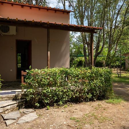 Camping Pefki Hotel Bagian luar foto