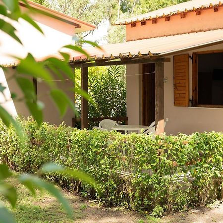 Camping Pefki Hotel Bagian luar foto